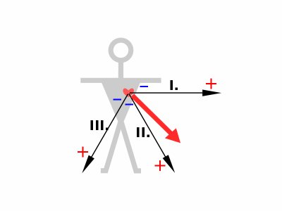 800px-ECG-Einthoven-vect1.svg