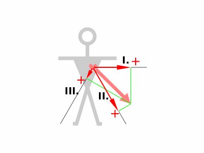 800px-ECG-Einthoven-vect3.svg