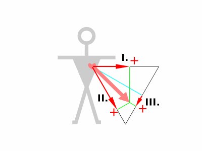 800px-ECG-Einthoven-vect4.svg