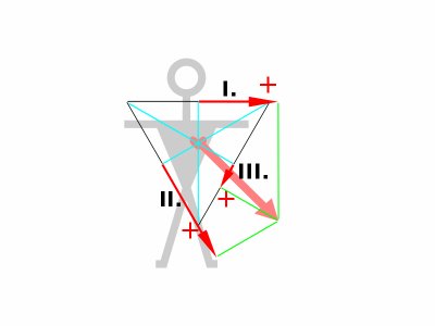 800px-ECG-Einthoven-vect5.svg