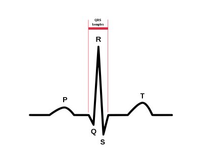 800px-ECG-PQRSkomplexT