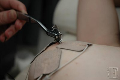 DSC_8495.jpg