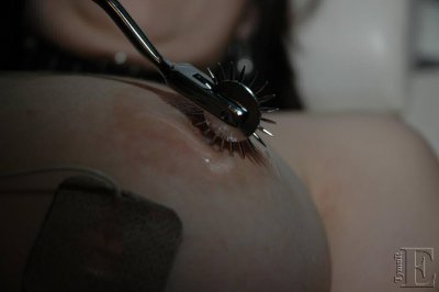 DSC_8510.jpg