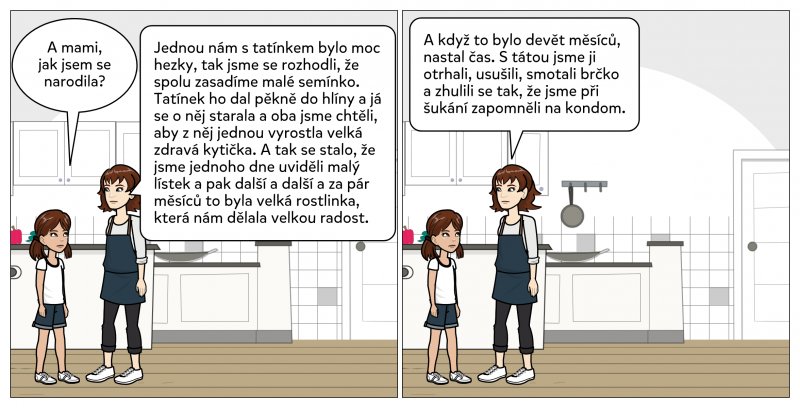 kytka-1