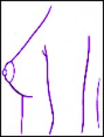 4.gif