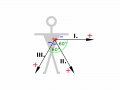 800px-ECG-Einthoven-vect0.svg.gif