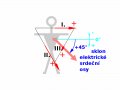 800px-ECG-Einthoven-vect6-sklon_osy45.svg.gif