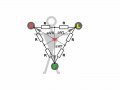 800px-ECG-Goldberger-R.svg.gif