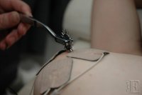 DSC_8495.jpg