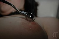 DSC_8500.jpg