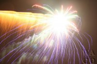 IMG_4343.JPG