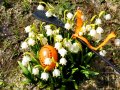 veli060419.JPG