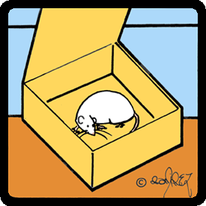 02 02